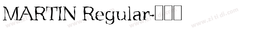 MARTIN Regular字体转换